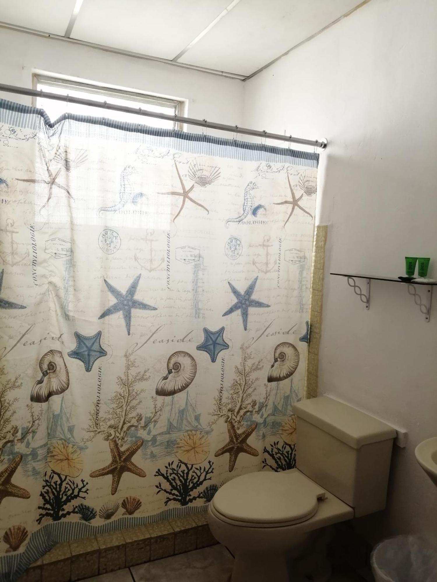 Hotel La Casa De La Abuela Boquete Eksteriør billede